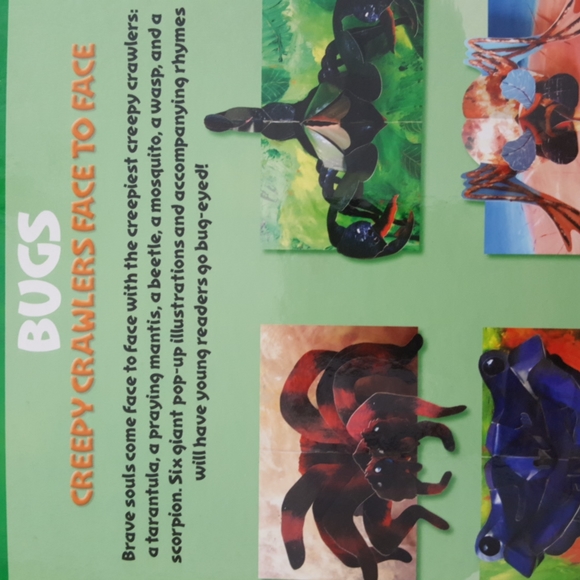 2/$20💥 Pop-Up BUGS Book, Hardcover c.2003 - Picture 9 of 11